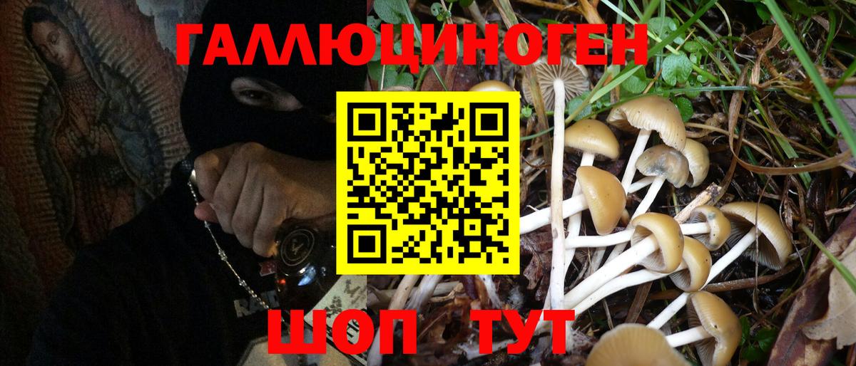 Псилоцибиновые грибы Psilocybine cubensis Мелеуз