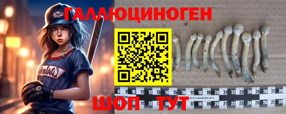 Галлюциногенные грибы мухоморы  Вход с VPN  где можно купить   Мелеуз 